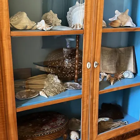 Angela Neuer Rosengarten *