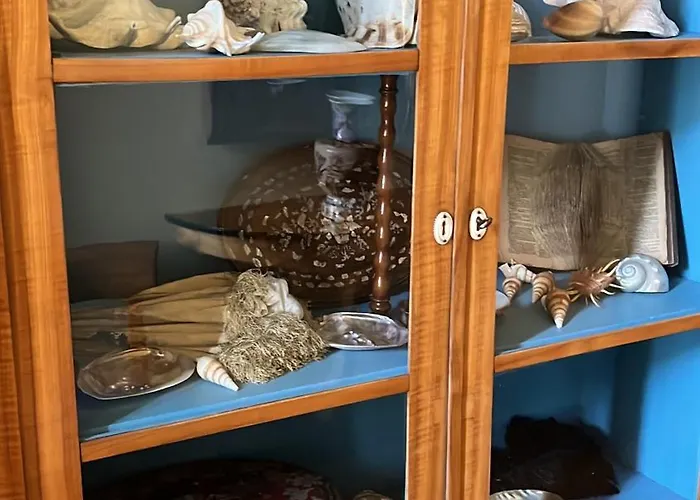 Angela Neuer Rosengarten *